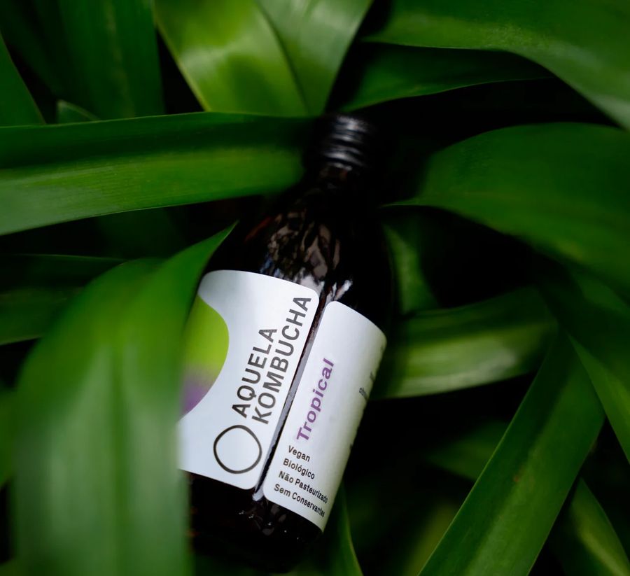 Garrafa Aquela Kombucha Tropical entre folhas verdes